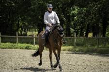 Iliana PATAT - EI PATAT ILIANA